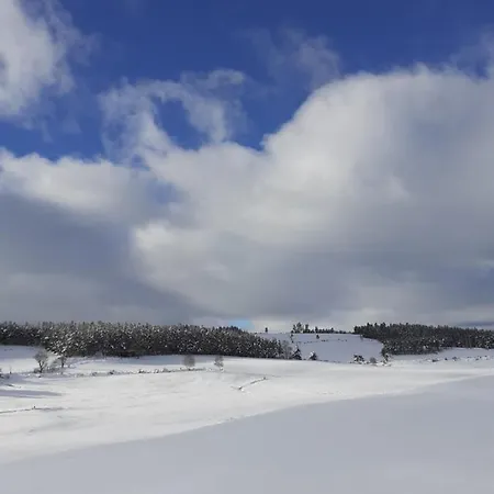 Gite De Fontanes Aubrac Margeride Loups Du Gevaudan Lozere Saint-Sauveur-de-Peyre Buitenkant foto
