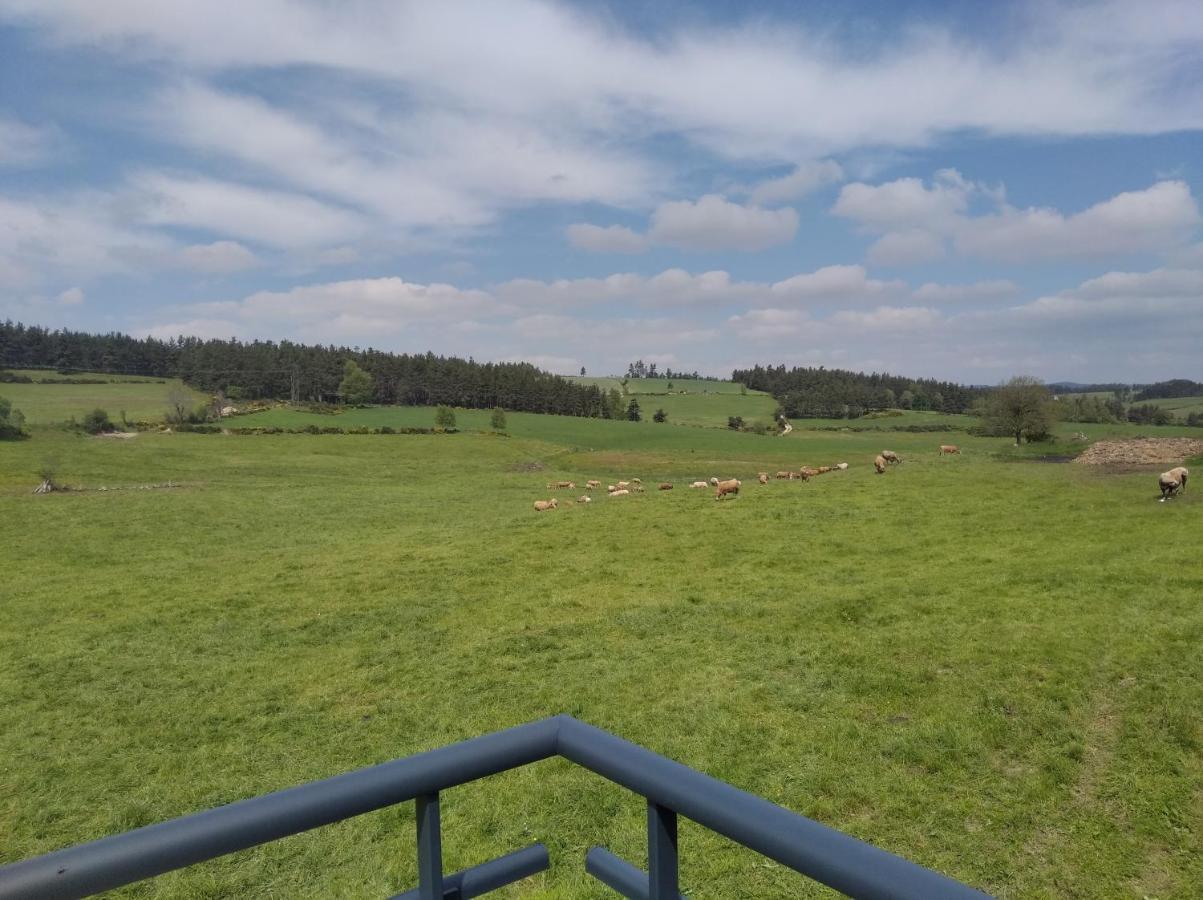 De Fontanes Aubrac Margeride Loups Du Gevaudan Lozere Saint-Sauveur-de-Peyre