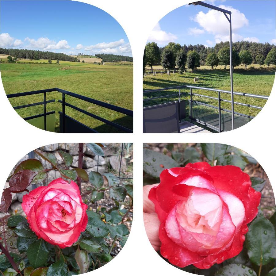 De Fontanes Aubrac Margeride Loups Du Gevaudan Lozere Holiday home *