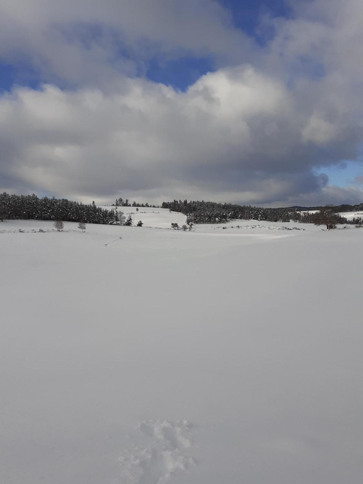 De Fontanes Aubrac Margeride Loups Du Gevaudan Lozere Holiday home Saint-Sauveur-de-Peyre